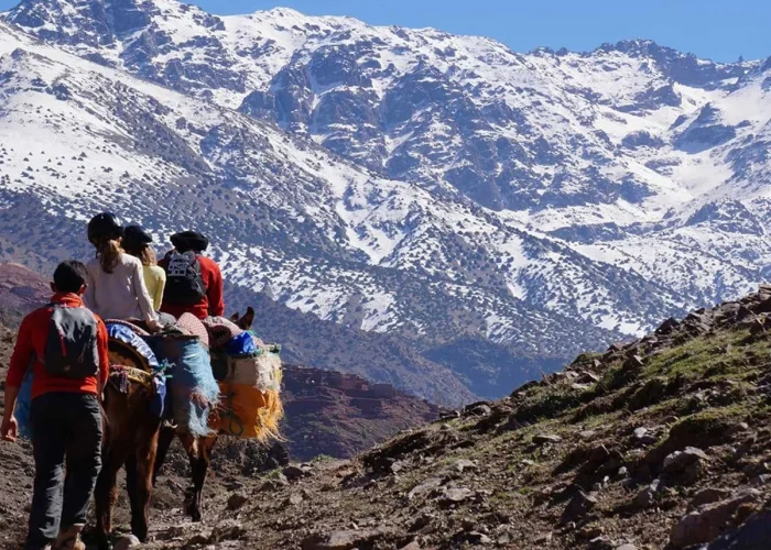 MARRAKECH ATLAS MOUNTAINS 3 VALLEY (3)